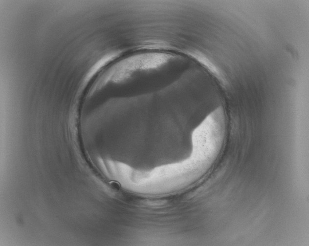 X0000115311325200911231321