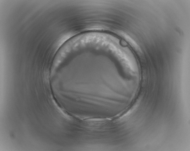 X0000115311329200911231321