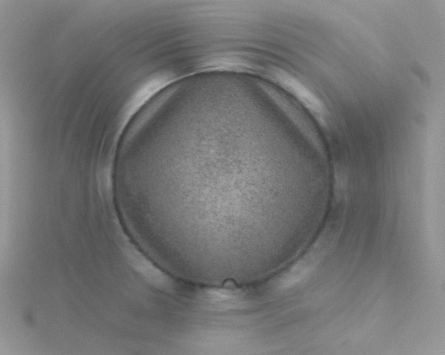 X0000115311330200911231321