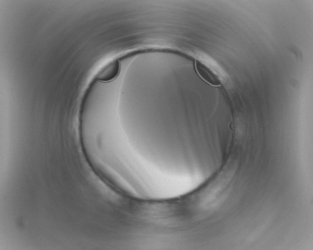 X0000115311334200911231321