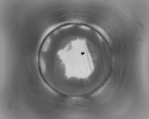 X0000115311335200911231321