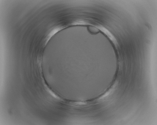 X0000115311337200911231321