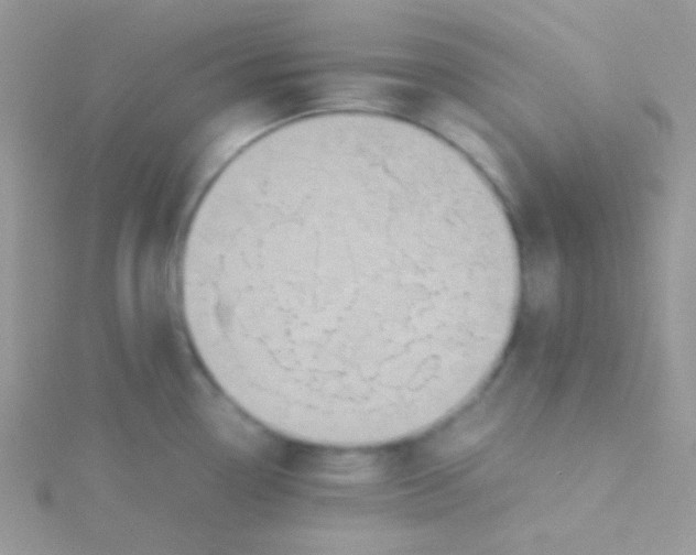 X0000115311338200911231321