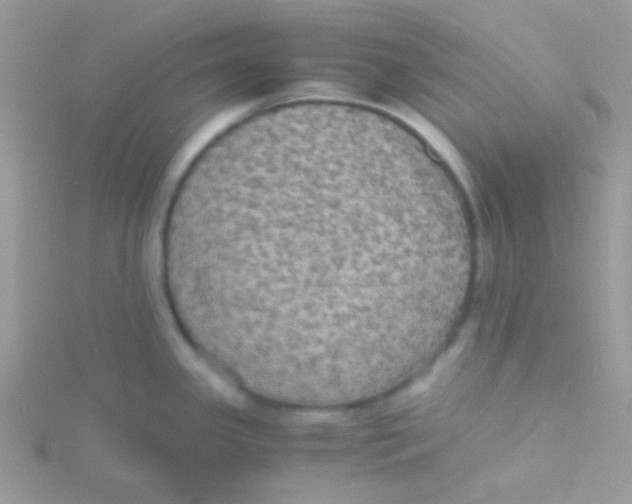 X0000115311341200911231321