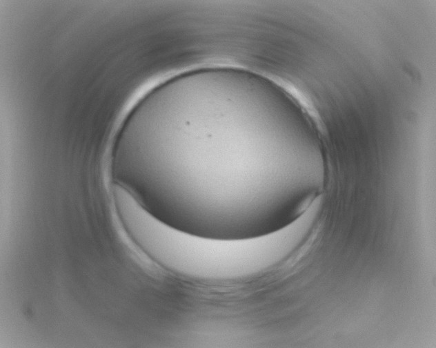 X0000115311342200911231321