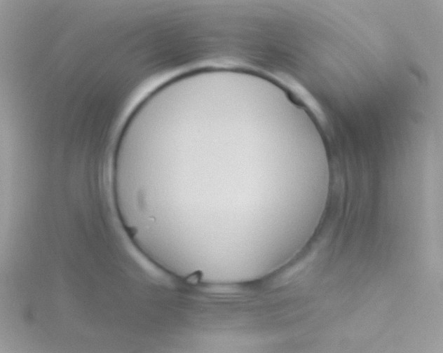 X0000115311343200911231321