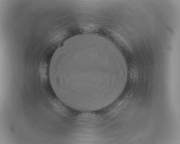 X0000115311346200911231321