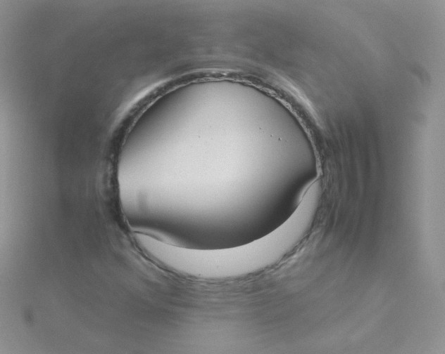 X0000115311352200911231321