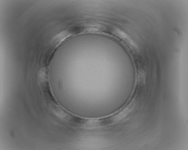 X0000115311353200911231321