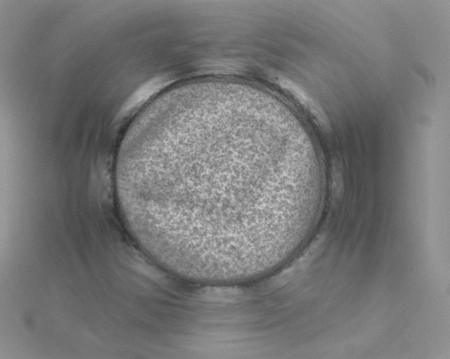 X0000115311354200911231321