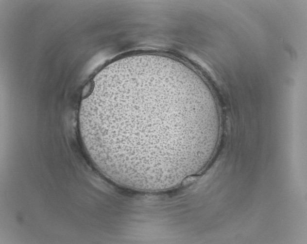 X0000115311355200911231321