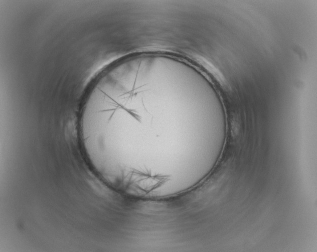 X0000115311356200911231321