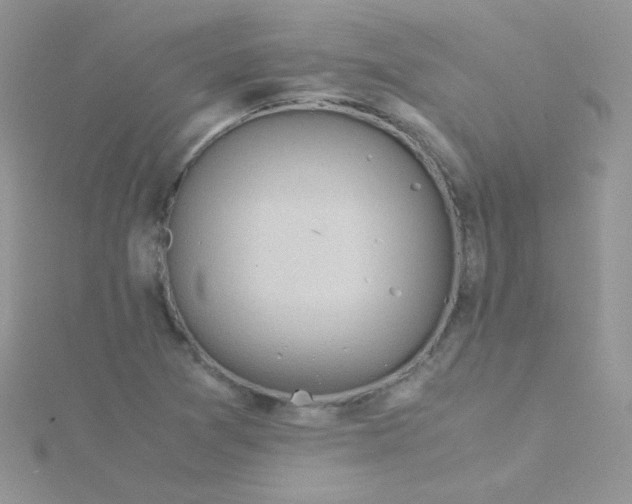 X0000115311361200911231321