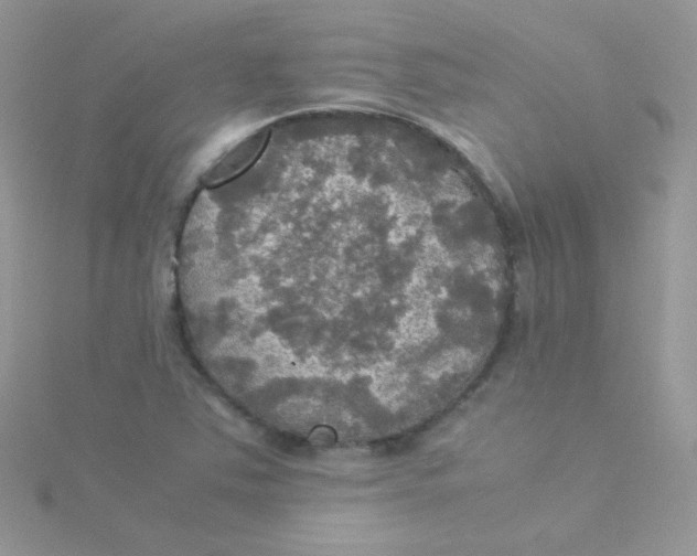 X0000115311363200911231321