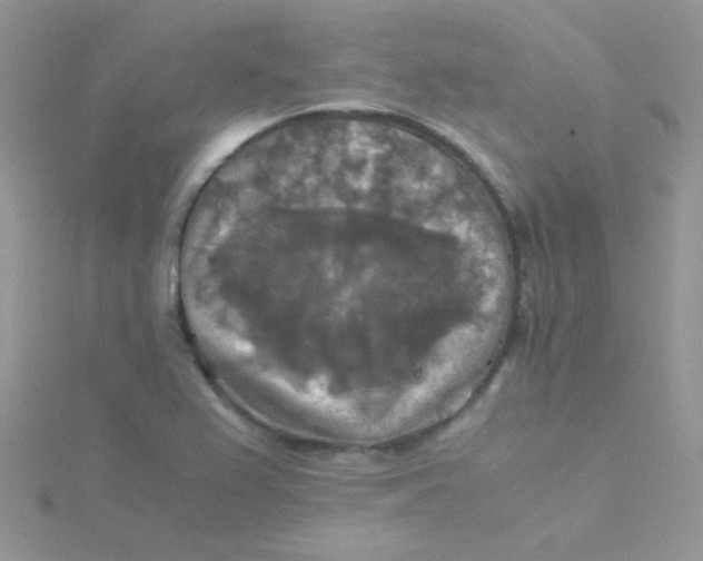 X0000115311367200911231321