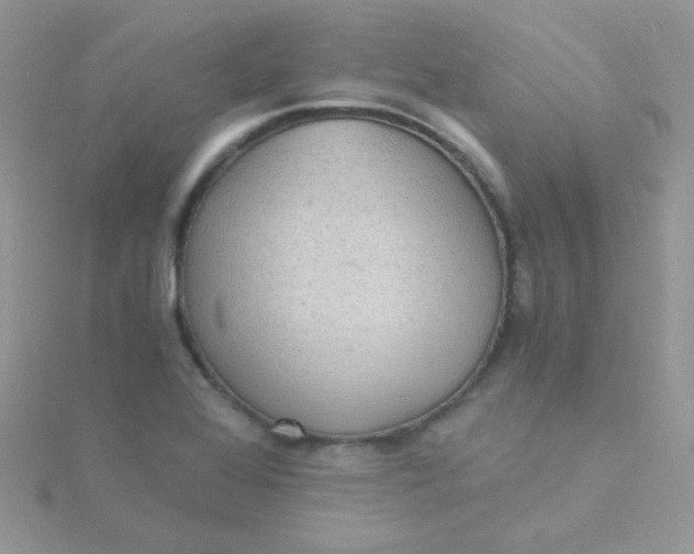 X0000115311368200911231321