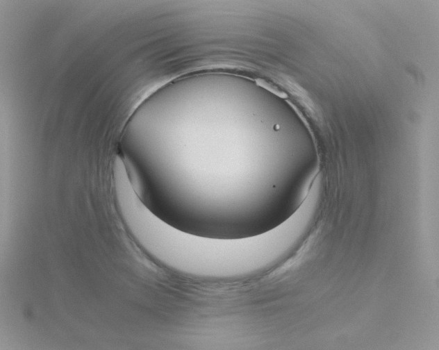 X0000115311369200911231321