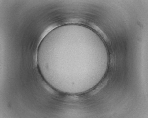 X0000115311370200911231321