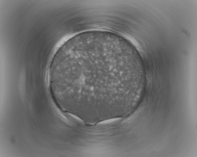 X0000115311371200911231321