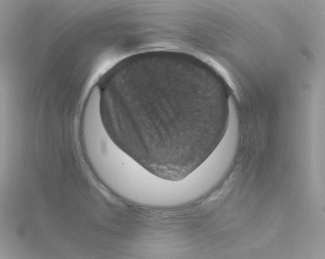 X0000115311373200911231321