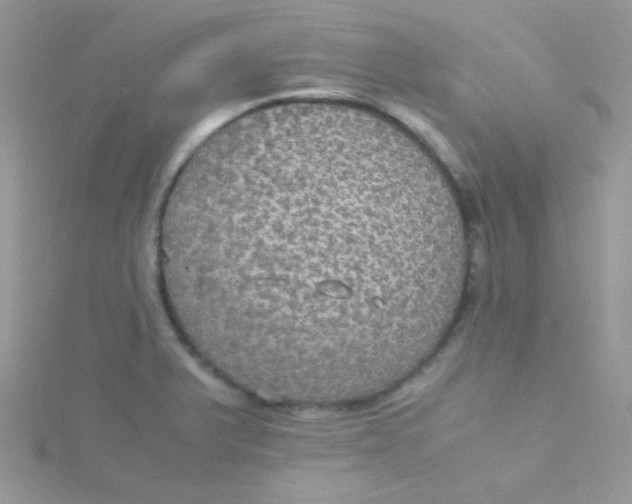 X0000115311375200911231321