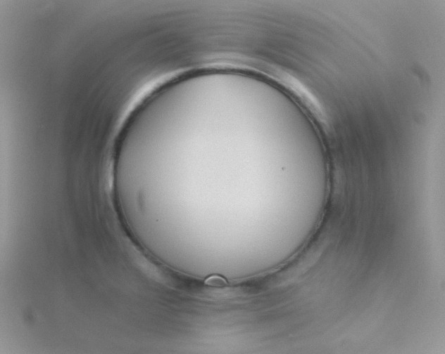 X0000115311376200911231320