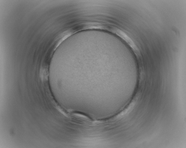 X0000115311377200911231320