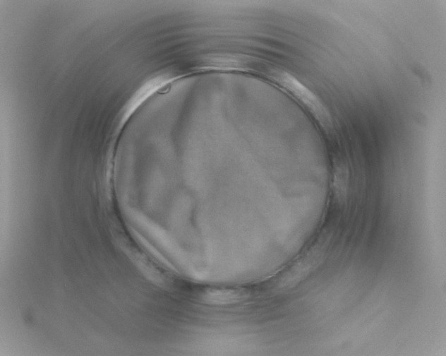 X0000115311378200911231320