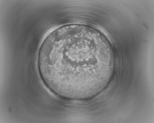 X0000115311379200911231320