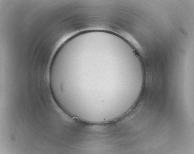 X0000115311380200911231320