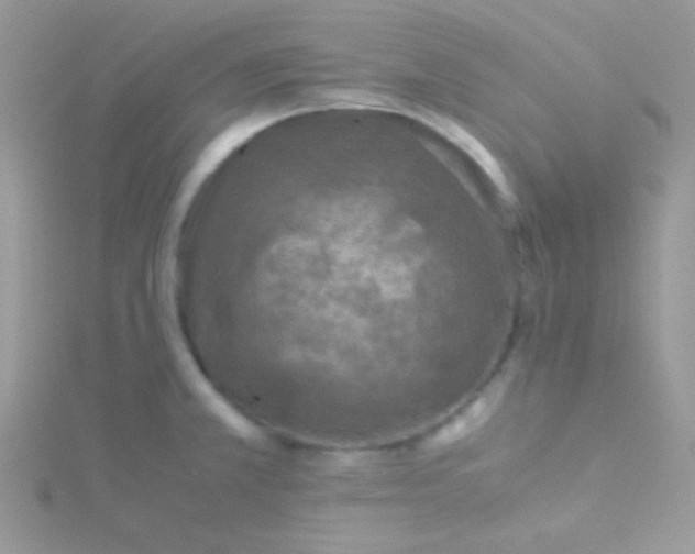 X0000115311381200911231320