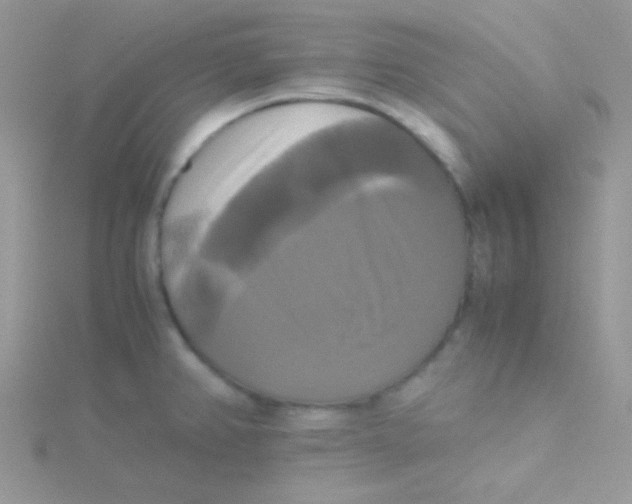 X0000115311382200911231320