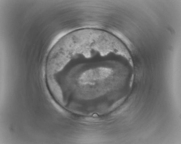 X0000115311383200911231320