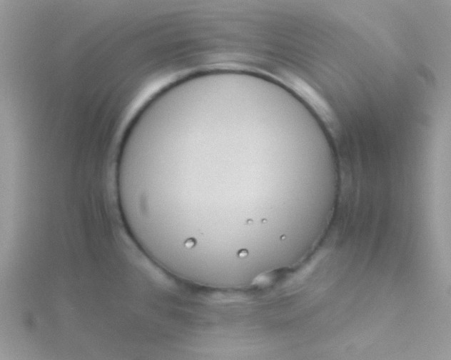 X0000115311384200911231320