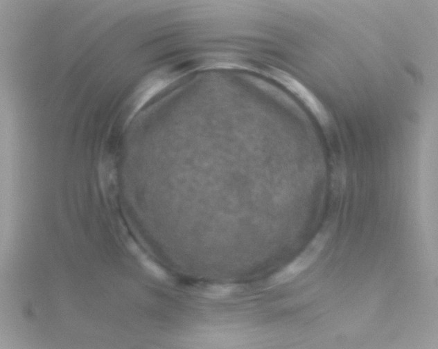 X0000115311385200911231320