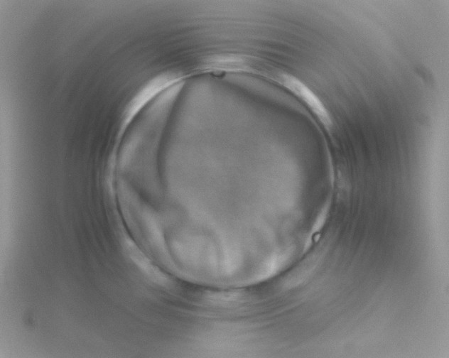 X0000115311386200911231320