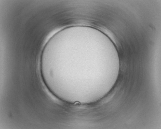 X0000115311387200911231320