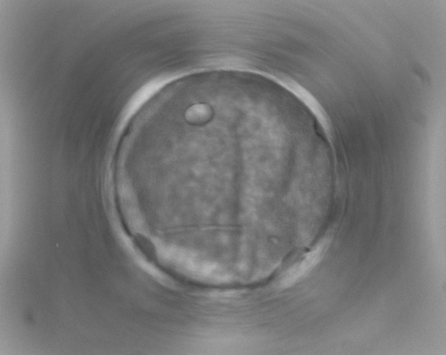 X0000115311389200911231320