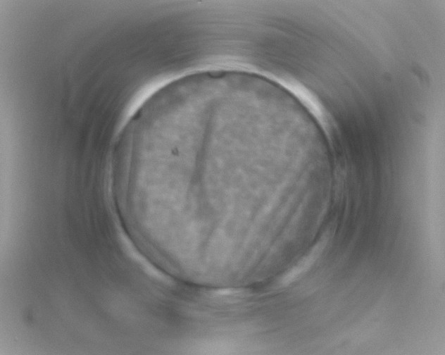 X0000115311390200911231320