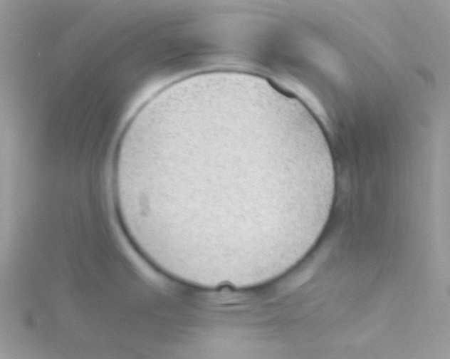 X0000115311391200911231320