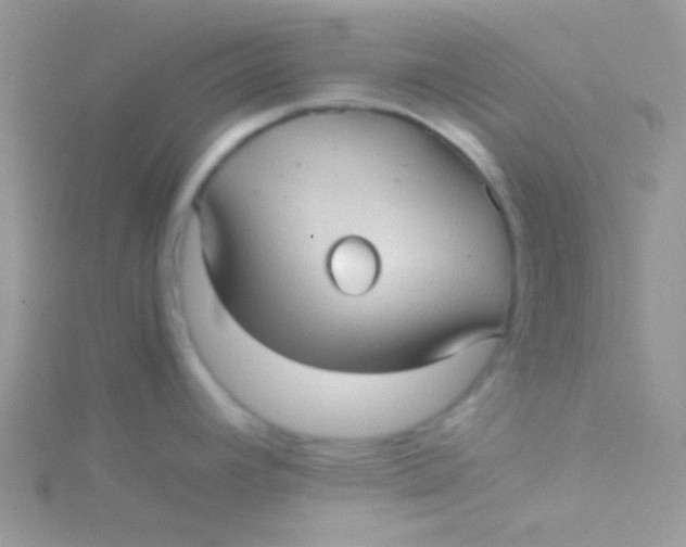 X0000115311392200911231320