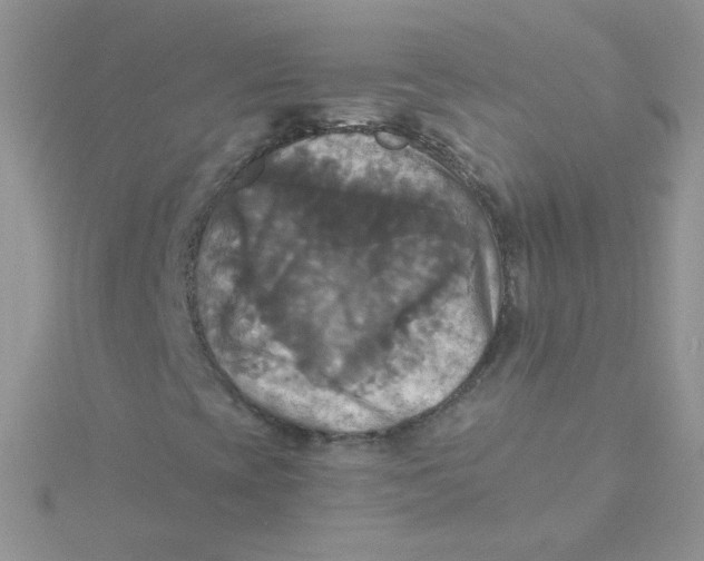 X0000115311393200911231320