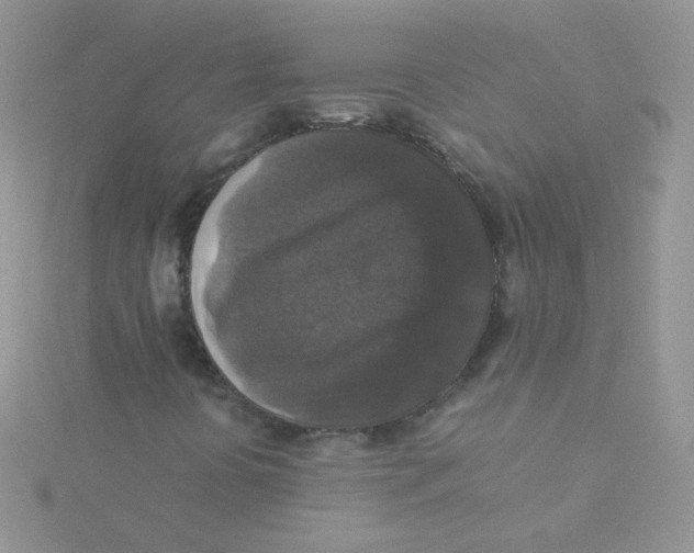 X0000115311394200911231320