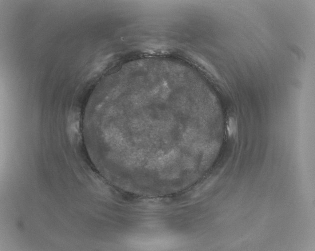 X0000115311396200911231320