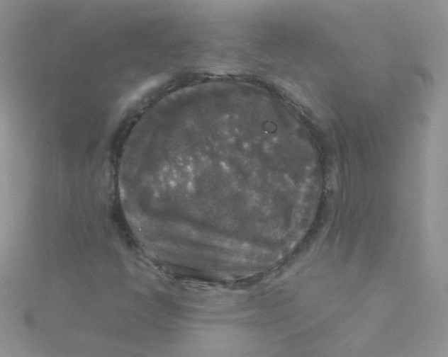 X0000115311398200911231320