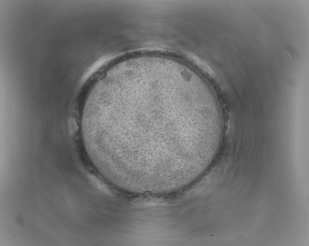 X0000115311400200911231320