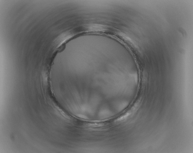 X0000115311401200911231320