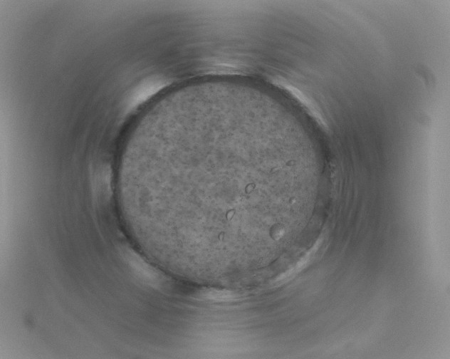 X0000115311402200911231320