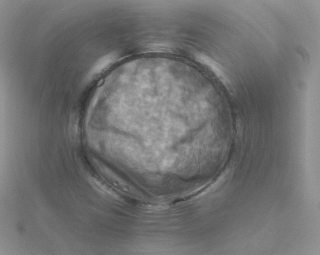 X0000115311403200911231320