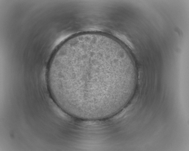 X0000115311404200911231320